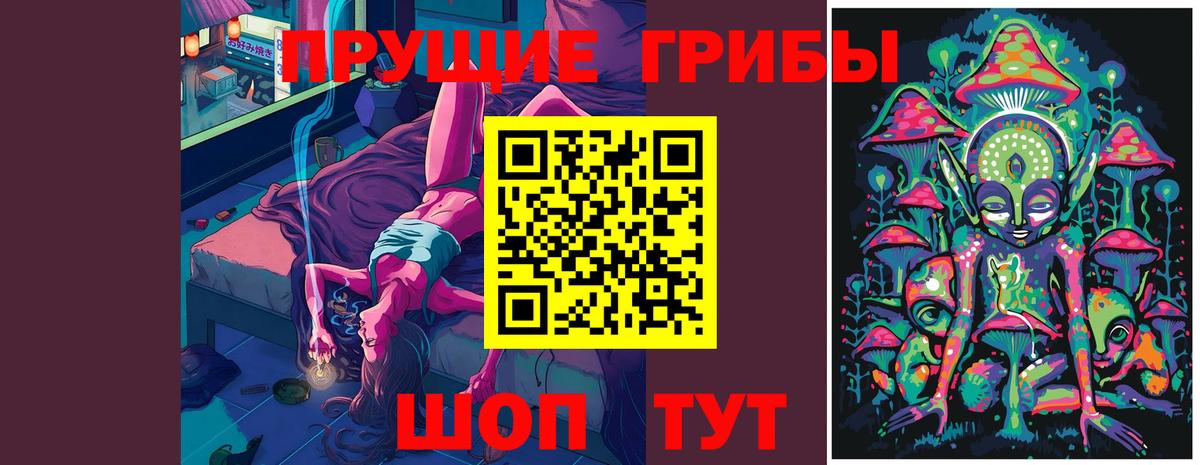 Волжский  Псилоцибиновые грибы мухоморы  Псилоцибиновые грибы Psilocybe  Вход с VPN 