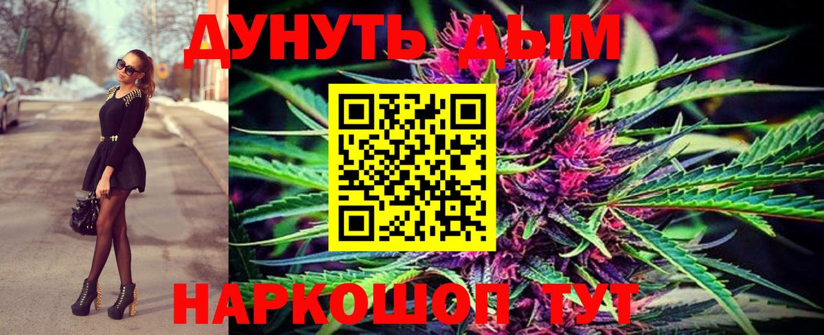 Каннабис сатива Волжский